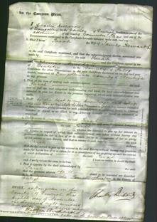 Court of Common Pleas - Sarah Howarth-Original Ancestry