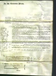 Court of Common Pleas - Jane Death Needham-Original Ancestry