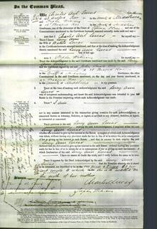 Court of Common Pleas - Lucy Ann Lucas-Original Ancestry