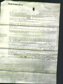 Court of Common Pleas - Anne Newman-Original Ancestry
