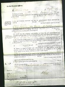 Court of Common Pleas - Emma Little-Original Ancestry