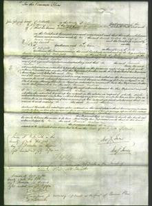 Court of Common Pleas - Hannah Swallow-Original Ancestry