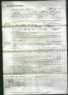 Court of Common Pleas - Anna Matilda Gordon-Original Ancestry