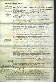 Court of Common Pleas - Jane Bonnell-Original Ancestry