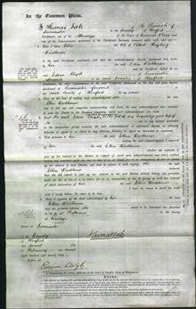 Court of Common Pleas - Ellen Woodhouse-Original Ancestry