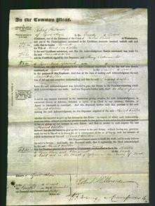 Court of Common Pleas - Harriet Walker-Original Ancestry