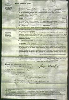 Court of Common Pleas - Catherine Elms-Original Ancestry