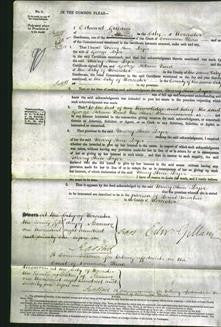 Court of Common Pleas - Mary Ann Dyer-Original Ancestry