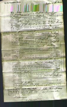 Court of Common Pleas - Harriet Jackson-Original Ancestry