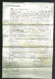 Court of Common Pleas - Ann Furniss-Original Ancestry
