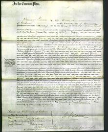 Court of Common Pleas - Jane Jeffery-Original Ancestry