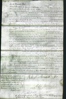 Court of Common Pleas - Mary Meredith-Original Ancestry
