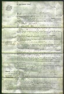 Court of Common Pleas - Charlotte Eliza Constable-Original Ancestry