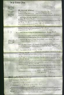 Court of Common Pleas - Emily Buck-Original Ancestry