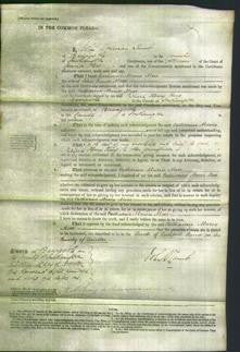 Court of Common Pleas - Catharine Maria Moor-Original Ancestry