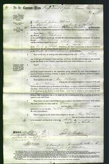 Court of Common Pleas - Mary Lindsey-Original Ancestry