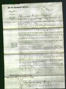 Court of Common Pleas - Catharine Amy Hiscock-Original Ancestry