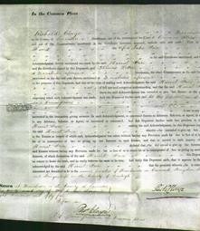 Court of Common Pleas - Harriet Price-Original Ancestry