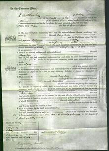 Court of Common Pleas - Mary Hall-Original Ancestry