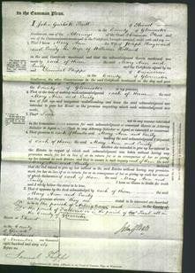 Court of Common Pleas - Mary Ann Hayward and Emily Holland-Original Ancestry