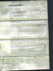 Court of Common Pleas - Elizabeth Warter-Original Ancestry