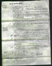 Court of Common Pleas - Hannah Maria Morris and Elizabeth Shore-Original Ancestry