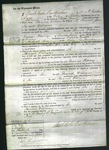 Court of Common Pleas - Hannah Williams-Original Ancestry