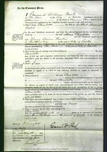 Court of Common Pleas - Charlotte Walsh-Original Ancestry