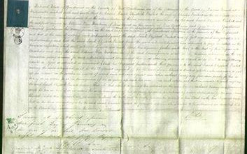 Court of Common Pleas - Sarah Elizabeth Prickett-Original Ancestry