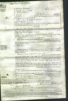 Court of Common Pleas - Scelenda Tugwood-Original Ancestry