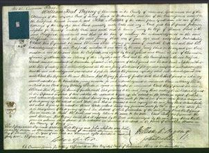 Court of Common Pleas - Jenny Read-Original Ancestry