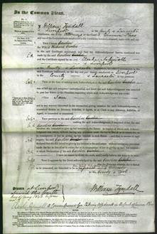 Court of Common Pleas - Caroline Crosbie-Original Ancestry