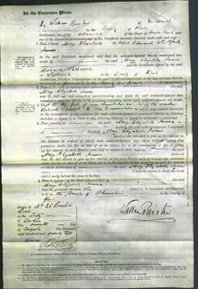 Court of Common Pleas - Mary Elizabeth James-Original Ancestry