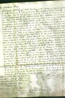 Court of Common Pleas - Mary Nash-Original Ancestry