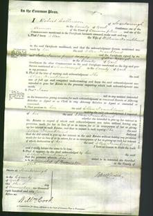 Court of Common Pleas - Ellen Frankland-Original Ancestry