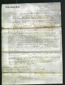 Court of Common Pleas - Louisa Mair-Original Ancestry