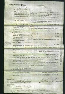 Court of Common Pleas - Susannah Wadley-Original Ancestry