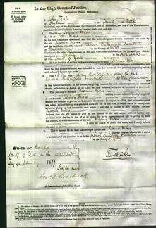 Court of Common Pleas - Joanna Moses-Original Ancestry