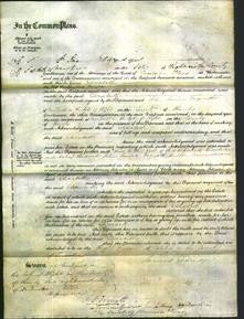 Court of Common Pleas - Elizabeth Noyce-Original Ancestry