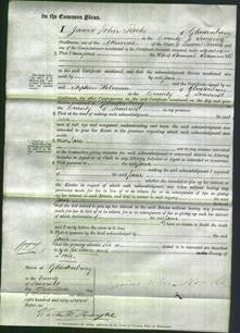 Court of Common Pleas - Jane Scammell-Original Ancestry