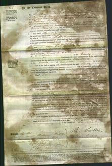 Court of Common Pleas -Betty Reffitt-Original Ancestry