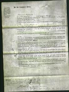 Court of Common Pleas - Ann Austen-Original Ancestry