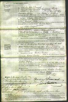 Court of Common Pleas - Beatrice Caroline Ashby-Original Ancestry