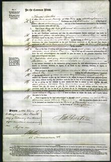 Court of Common Pleas - Mary Simmons and Sarah Fry-Original Ancestry