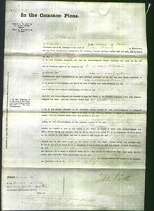 Court of Common Pleas - Elizabeth Major-Original Ancestry