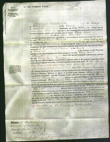 Court of Common Pleas - Mary Anne Staunton-Original Ancestry