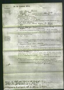 Court of Common Pleas - Anna Matilda Gordon-Original Ancestry