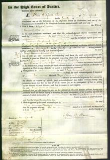 Court of Common Pleas - Eliza Lavinia Thomas-Original Ancestry