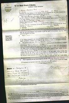 Court of Common Pleas - Fanny Cecilia Tubbs-Original Ancestry