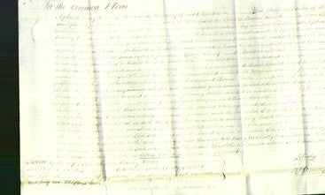 Court of Common Pleas - Elizabeth Matthews-Original Ancestry